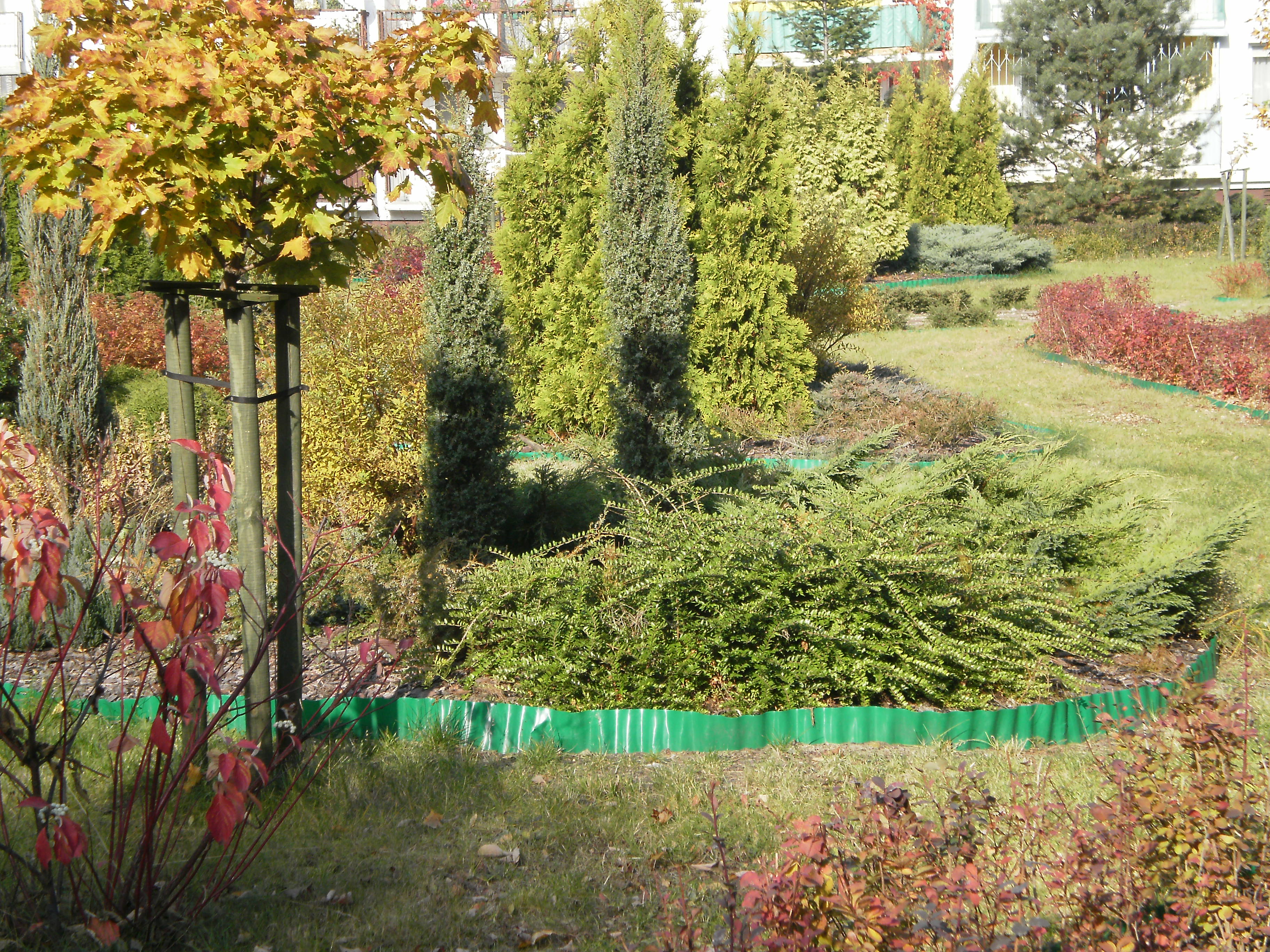 Botanik, jesień 2011 (2)